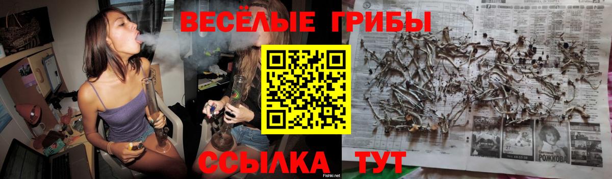 Псилоцибиновые грибы мухоморы Нижний Тагил
