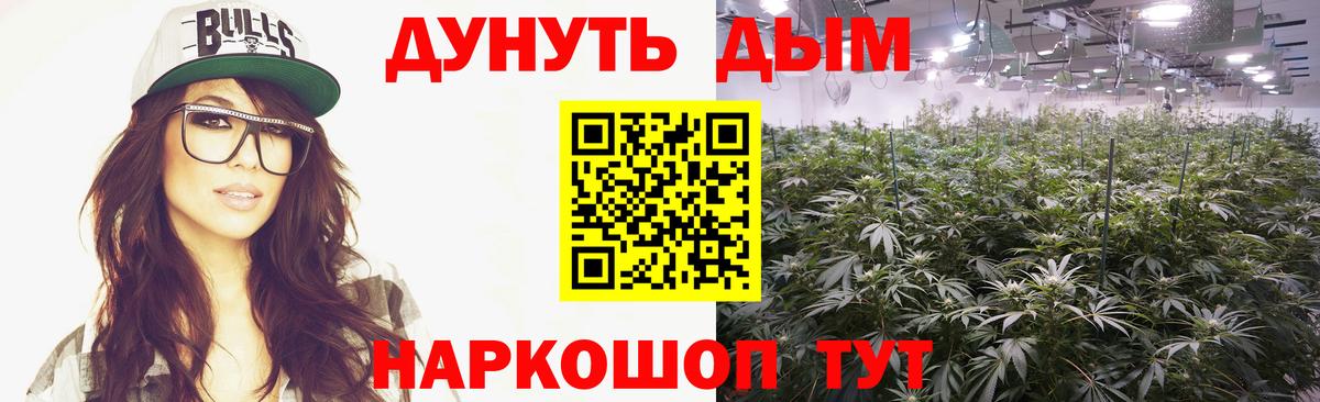 Конопля конопля  Конопля планчик  Нижний Тагил  Вход с VPN  Каннабис Amnesia 